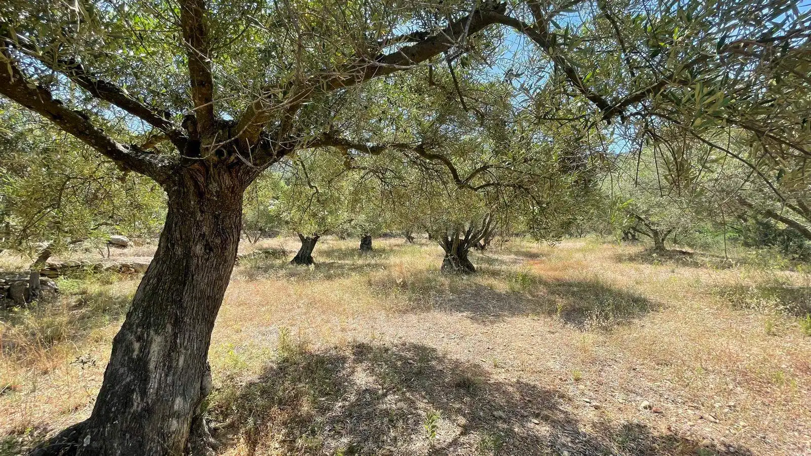 Finca rústica en venta en Vilajuïga con Terraza, Trastero y Balcón
