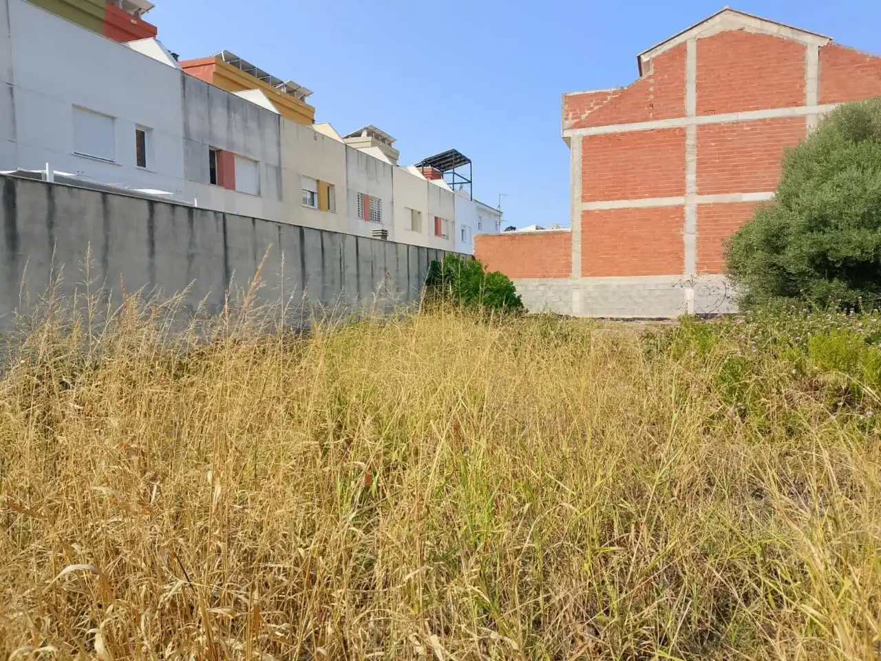 Land for sale in Calle Botánico Cabanilles, Piles