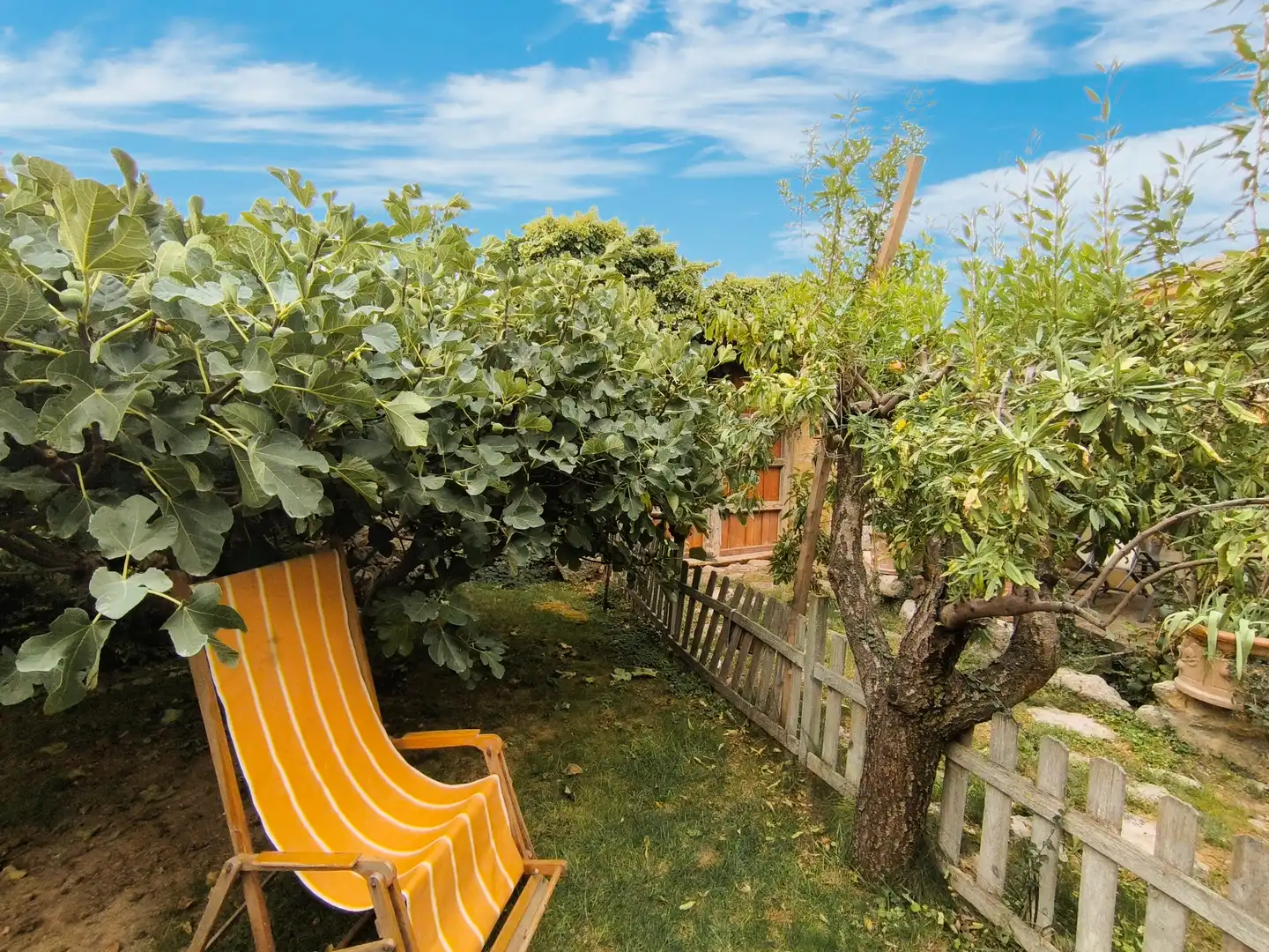 Jardín de Finca rústica en venta en Amusco, Palencia
