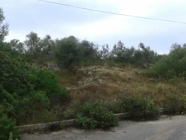 Terreny rústic en venda a C/ Son Gual, imagen 8