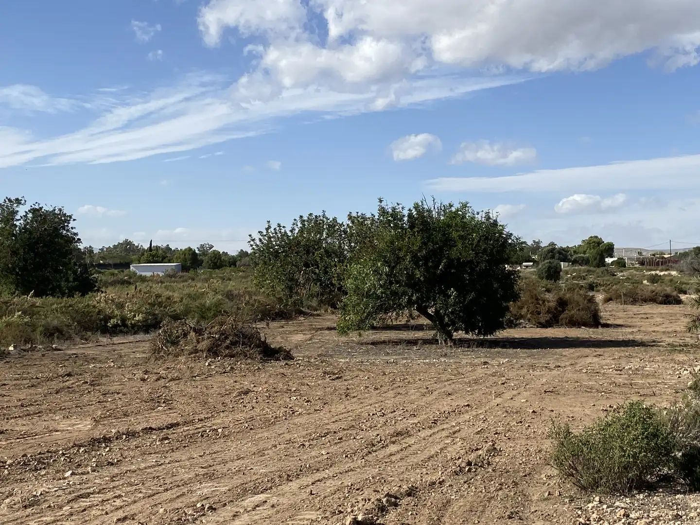 Land for sale in Elche / Elx
