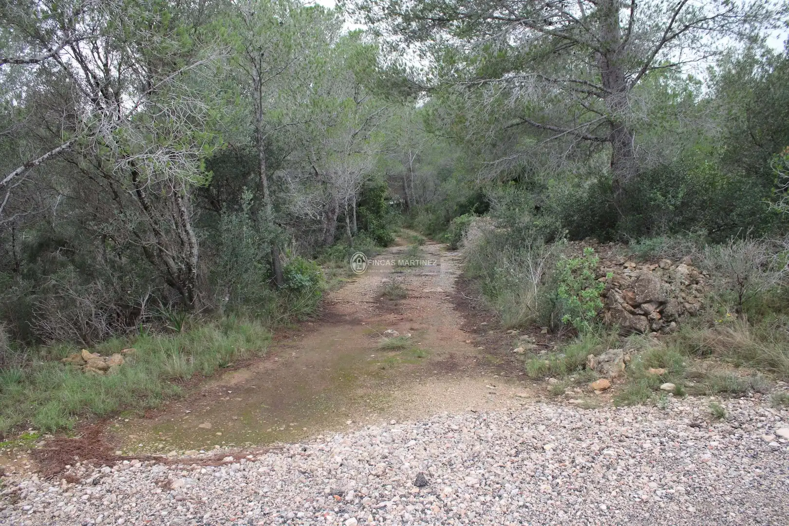Terrenys i solars en venda a partida torres novas  lindante con el barranco porquerola y a poniente con el termino de pradit  es la parcela  del poligono, imagen 12