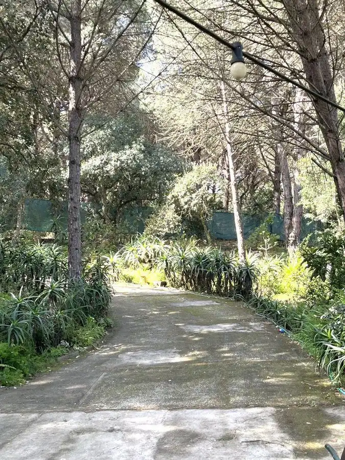 Jardí de Casa o xalet en venda en San Roque amb Calefacció, Jardí privat i Traster