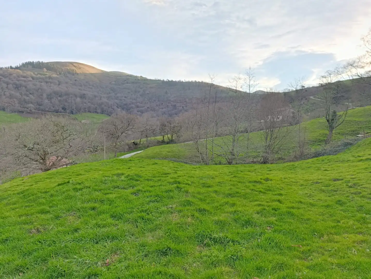 Casa o chalet en venta en Esles - GEIDO POLÍGONO 32 PARCELA 83, Santa María de Cayón