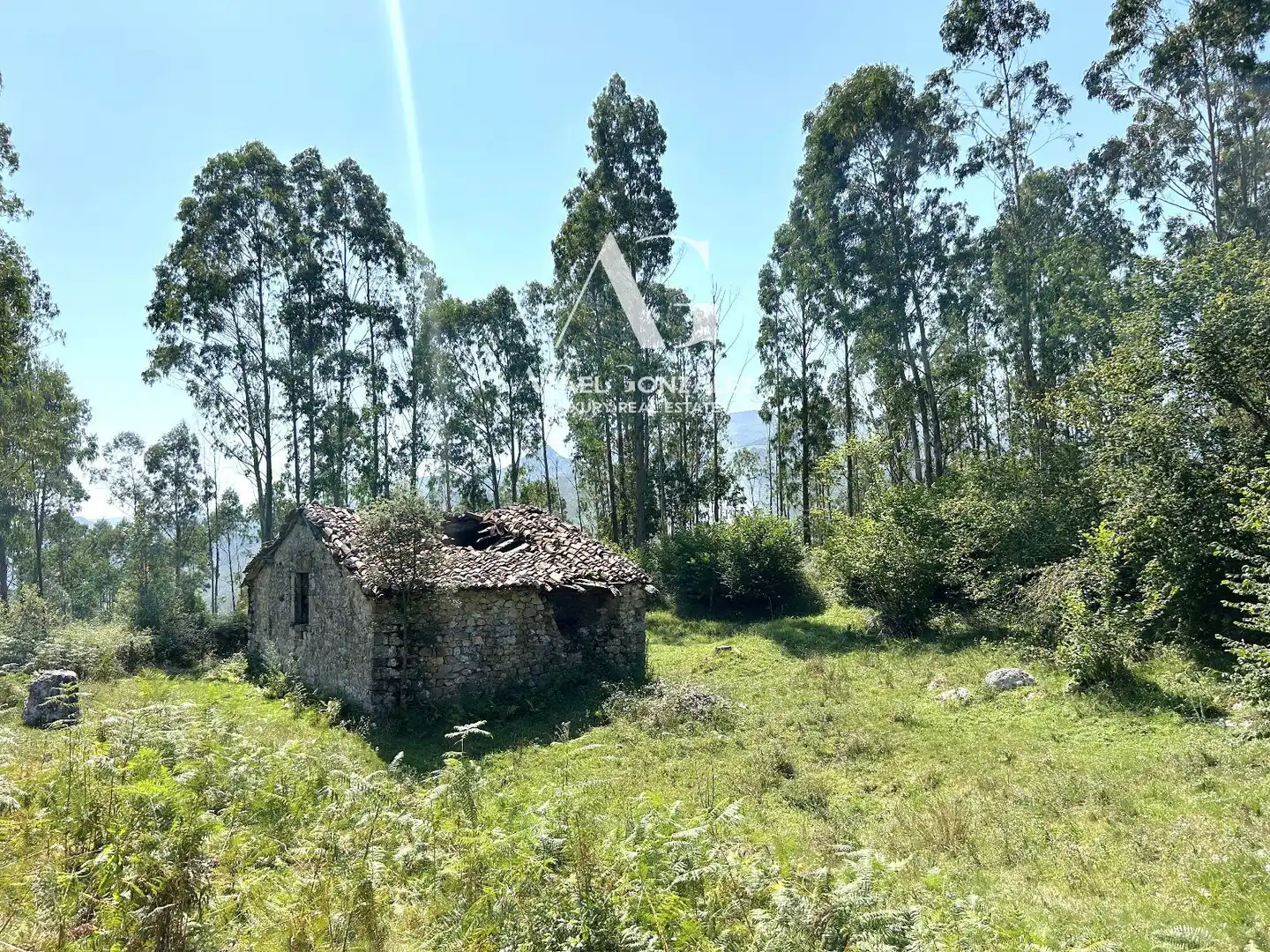 Casa o chalet en venta en Herrerías