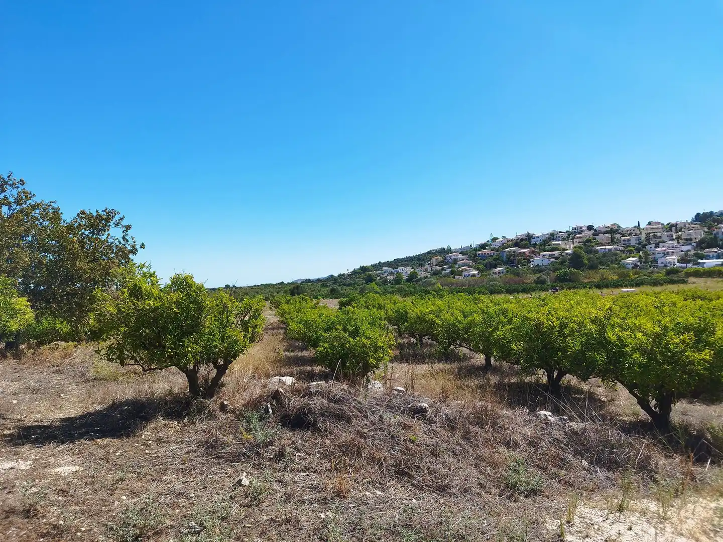 Residential land for sale in Orba, imagen 6