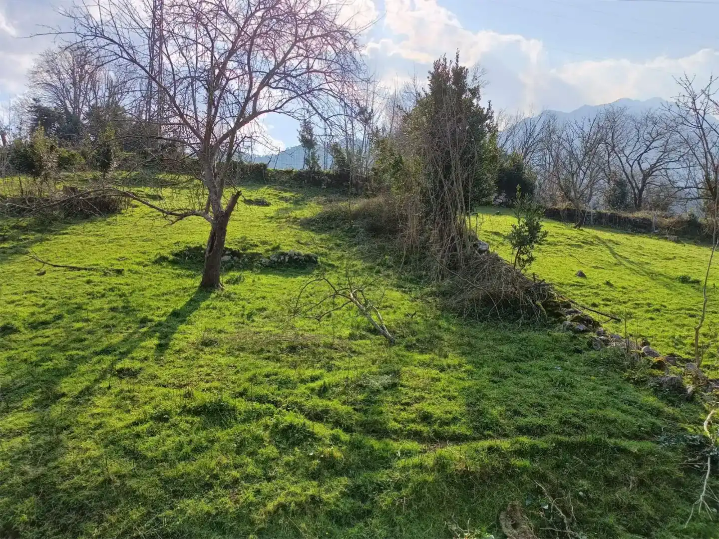 Wohnung zum Verkauf in Ruesga