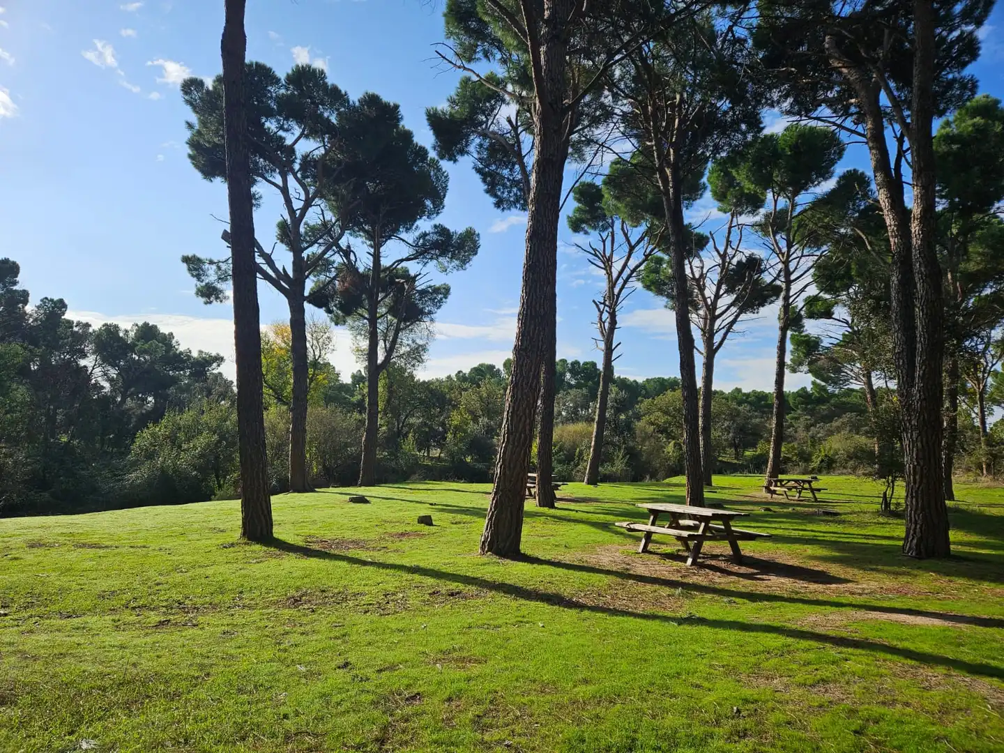 Jardín de Dúplex de alquiler en Alcobendas con Aire acondicionado, Calefacción y Jardín privado
