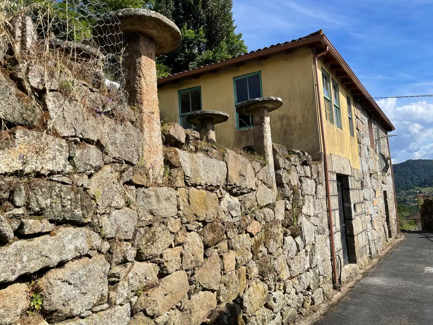 Vista exterior de Finca rústica en venda en A Arnoia amb Traster, Moblat i Balcó