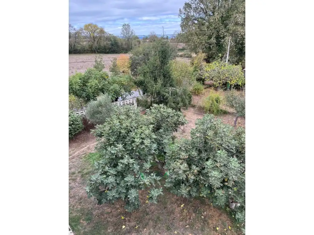 Casa en venta en Monforte de Lemos, imagen 8