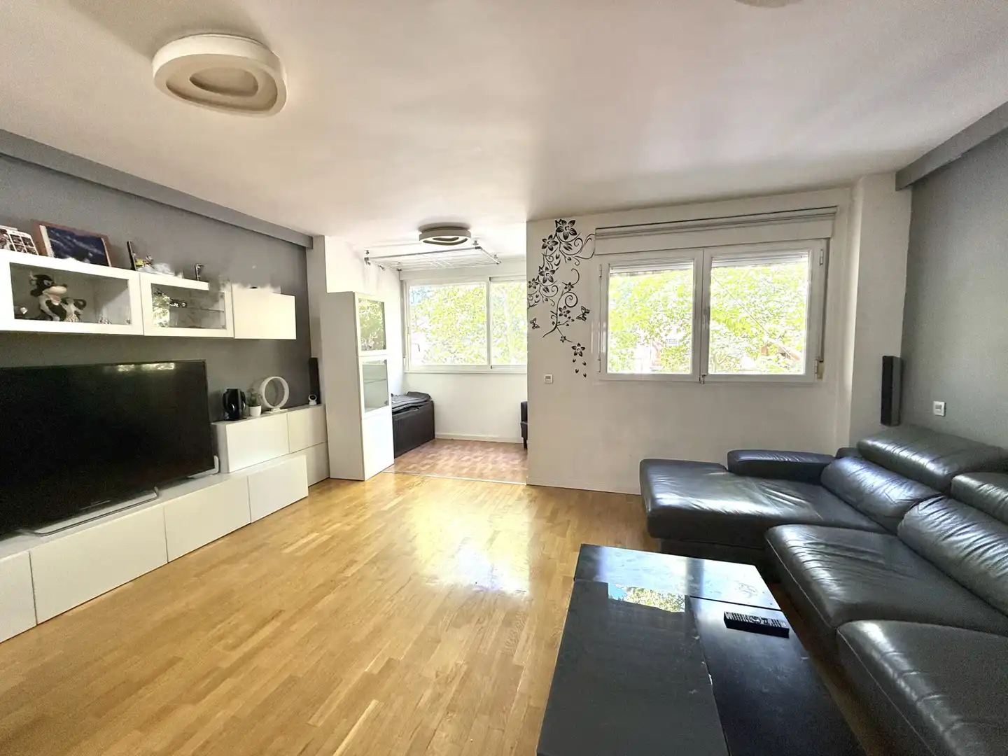 Sala de estar de Piso en venta en Parque Oeste - Fuente Cisneros