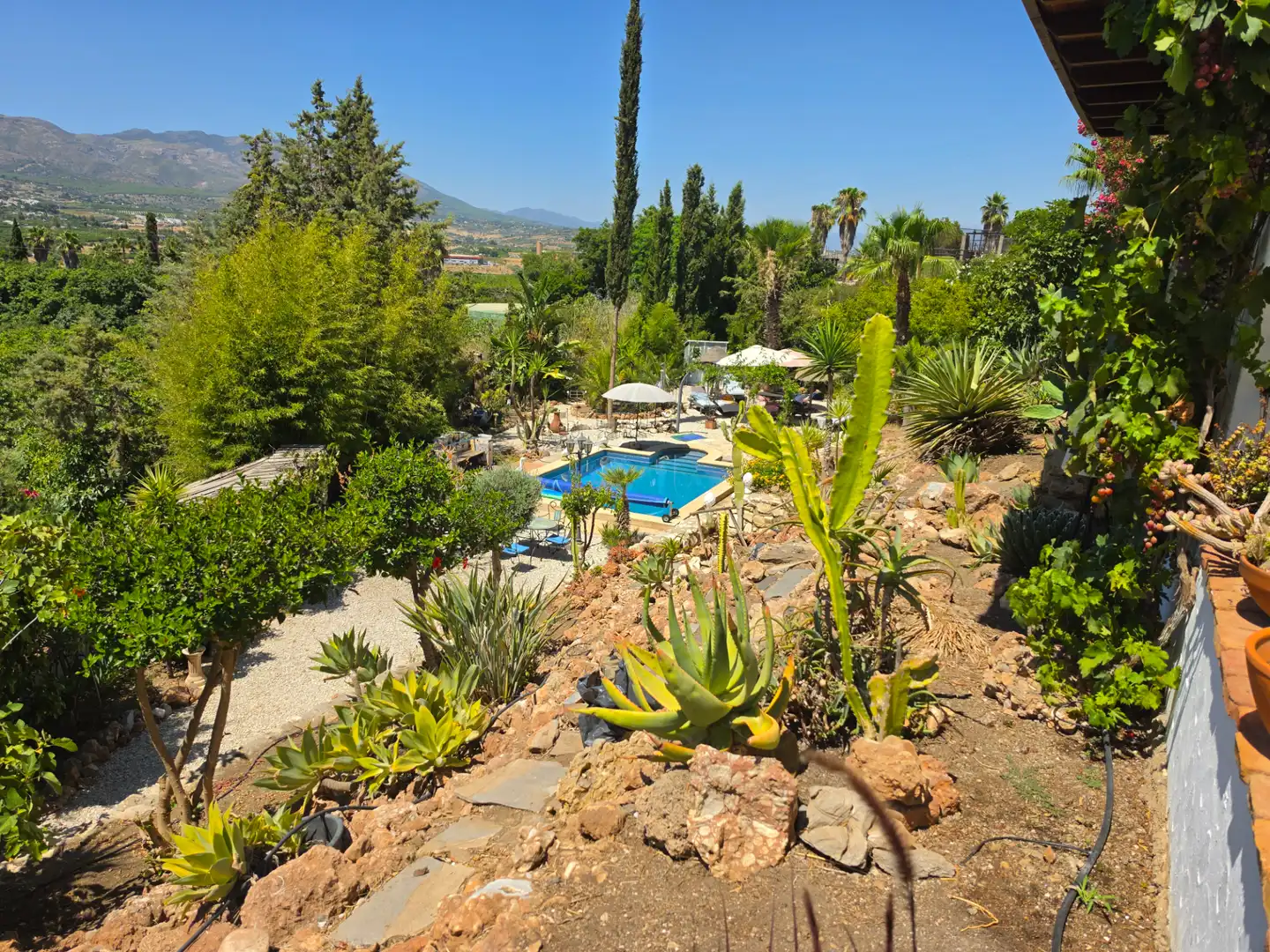 Jardín de Casa o chalet en venta en Alhaurín de la Torre con Aire acondicionado, Calefacción y Jardín privado