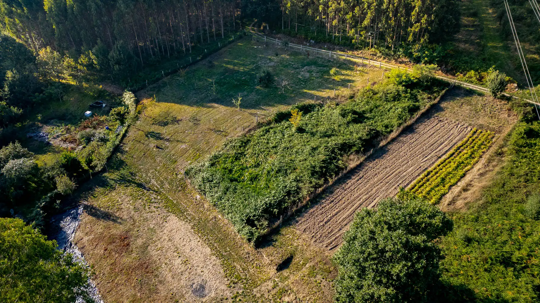Finca rústica en venta en Outeiro de Rei