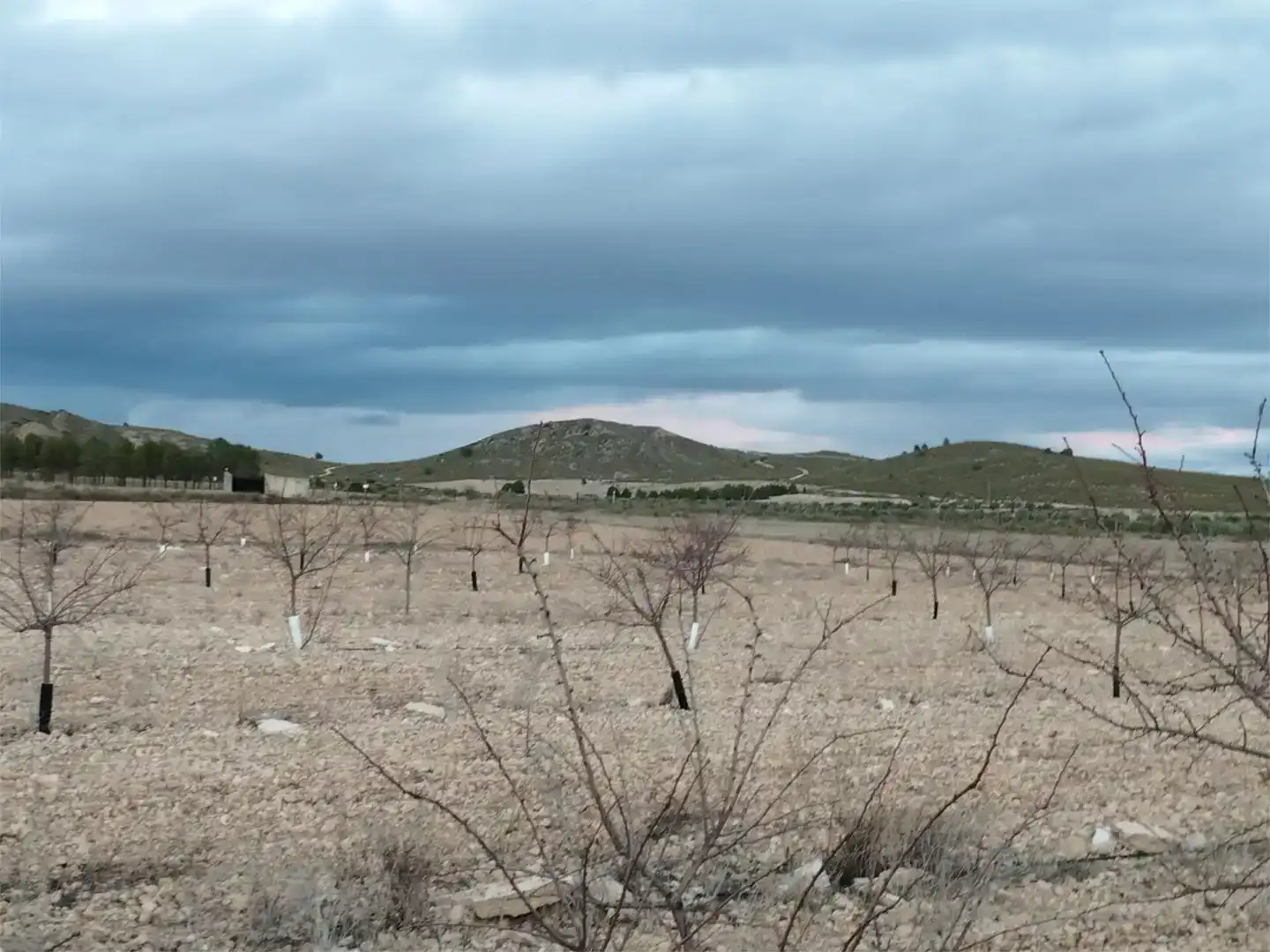 Terreno en venta en Montealegre del Castillo, Albacete