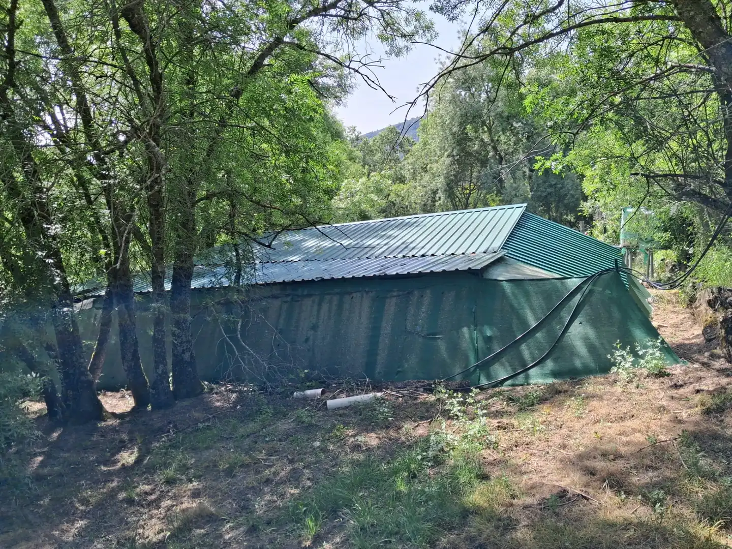 Rural land for sale in Calle del Concejo, imagen 2