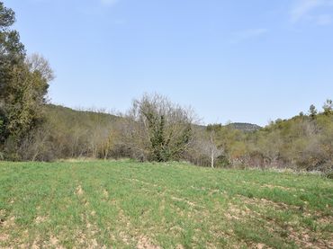 Terreno rústico en venta en Arens de Lledó