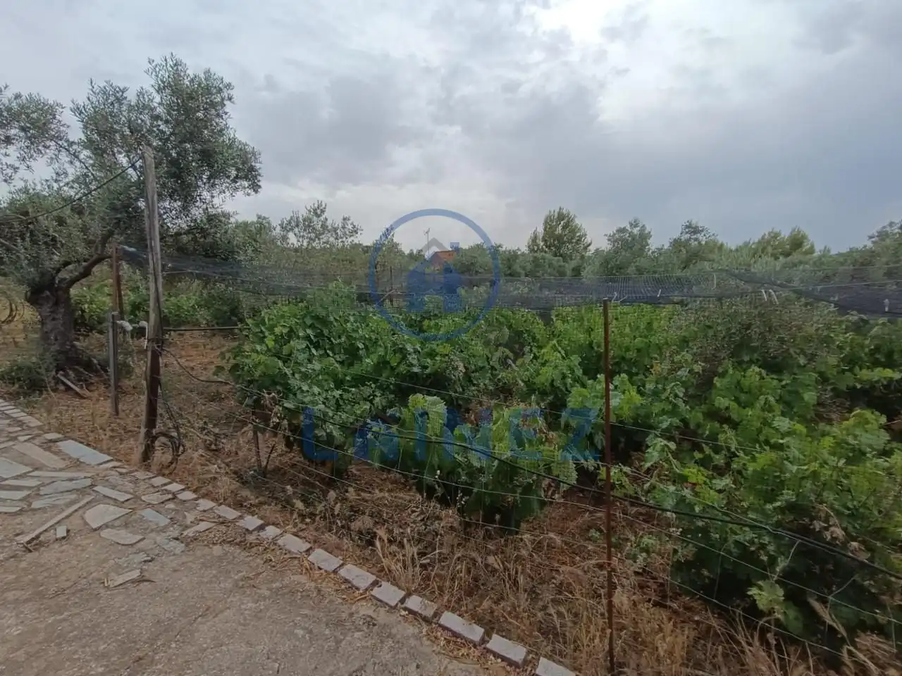 Residencial en venta en La Granjuela