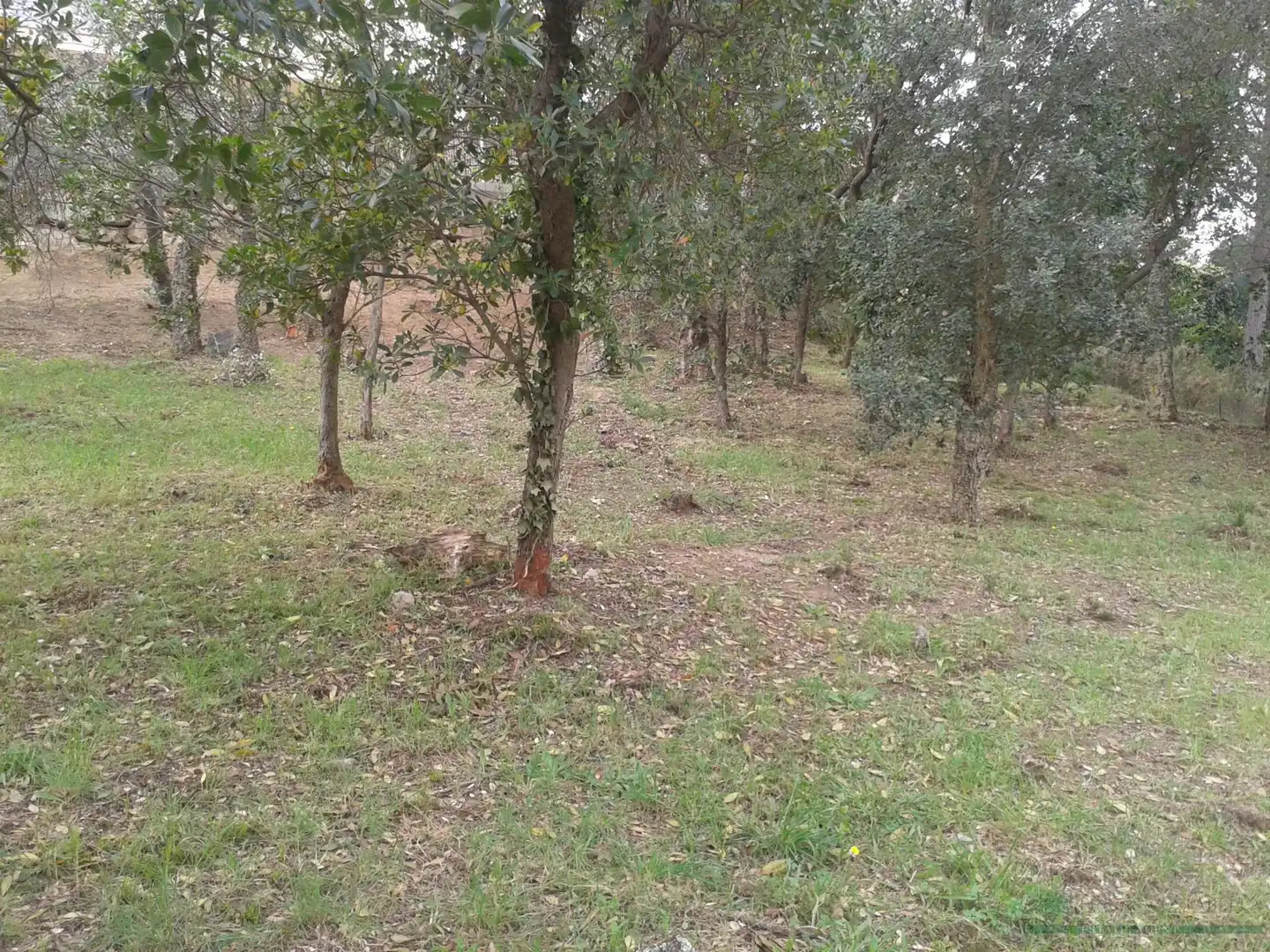 Terreny residencial en venda a Santa Cristina, imagen 6