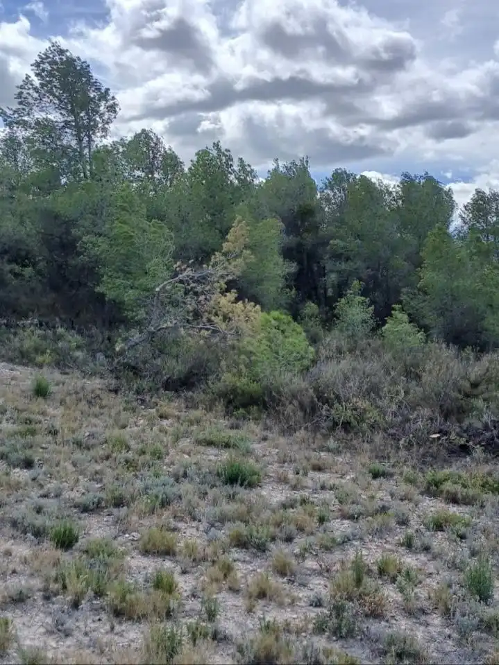 Rustikales Grundstück zum Verkauf in Corbera d'Ebre, imagen 4