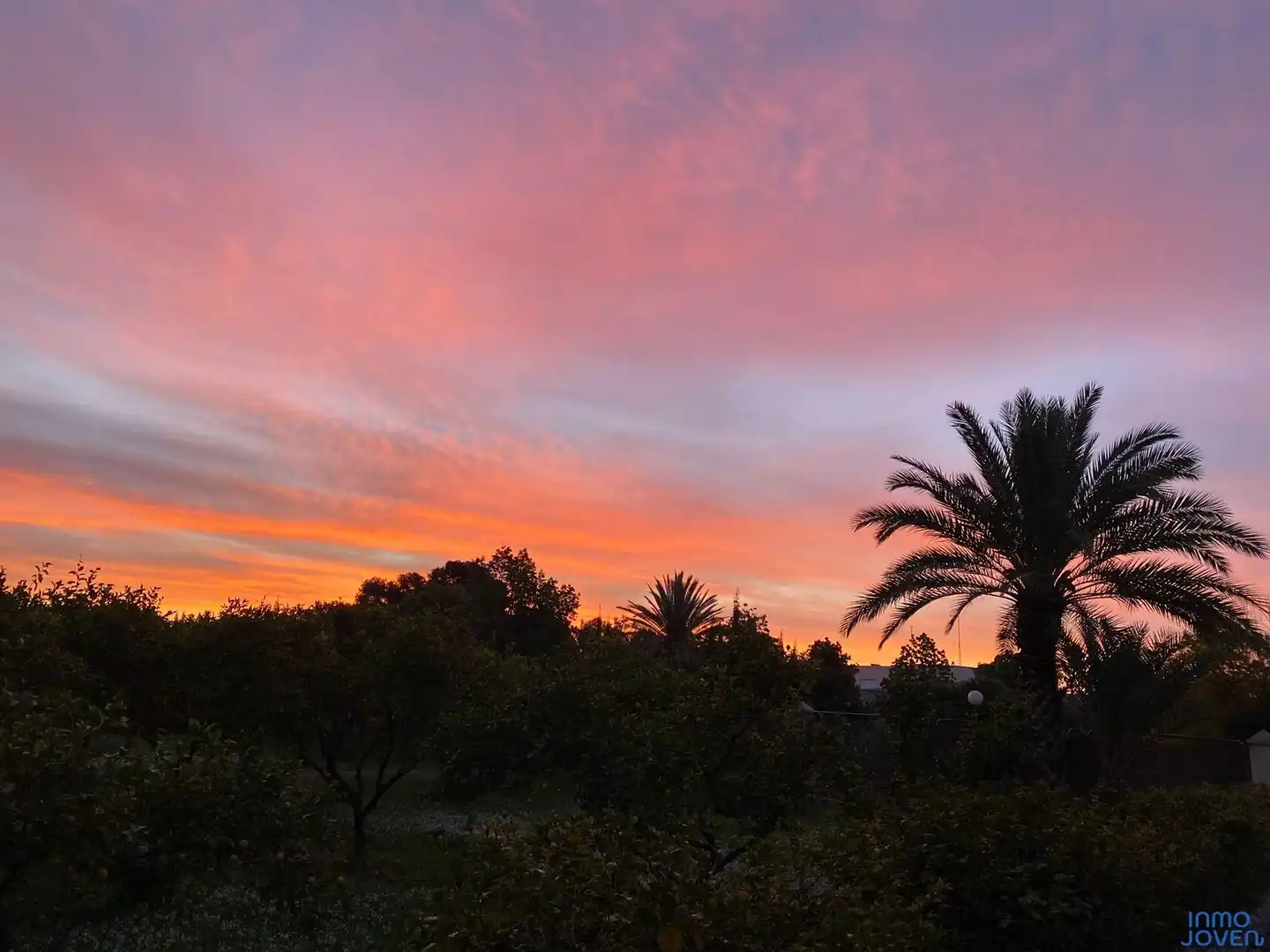 Vista exterior de Casa o chalet en venta en Mutxamel con Jardín privado, Terraza y Piscina