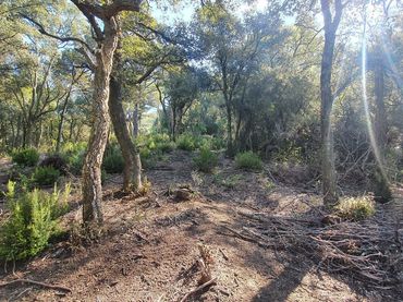 Terreno rustico in vendita a Sant Celoni