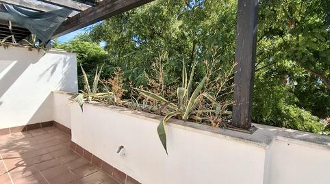 Foto 2 de Ático en venta en Camino el Chorro, 23, Cancelada, Málaga