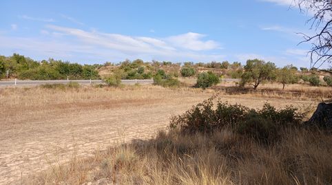 Valderrobres-Finca cerca del pueblo con vistas, immagine 3
