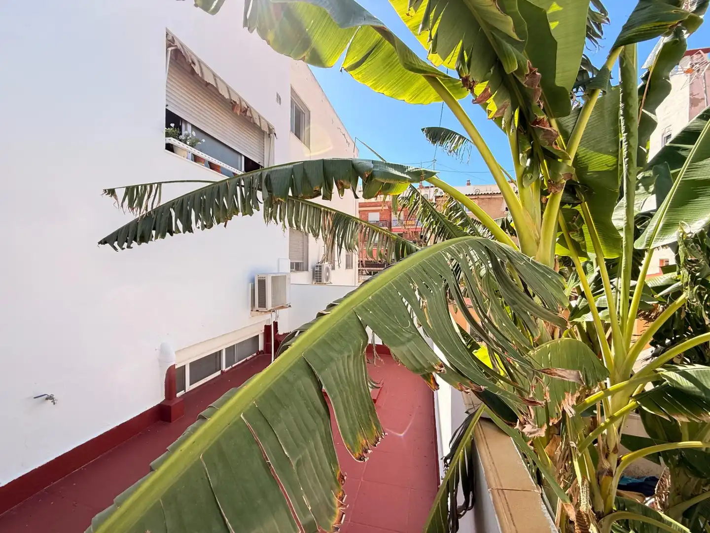 Exterior view of Houses for sale in Alicante / Alacant  with Air Conditioner, Heating and Terrace