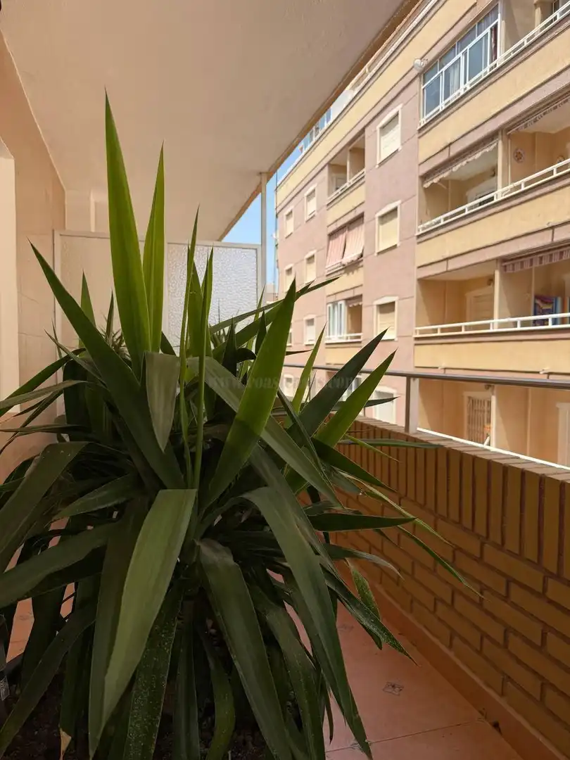 Apartament en venda a Orihuela Costa, imagen 2
