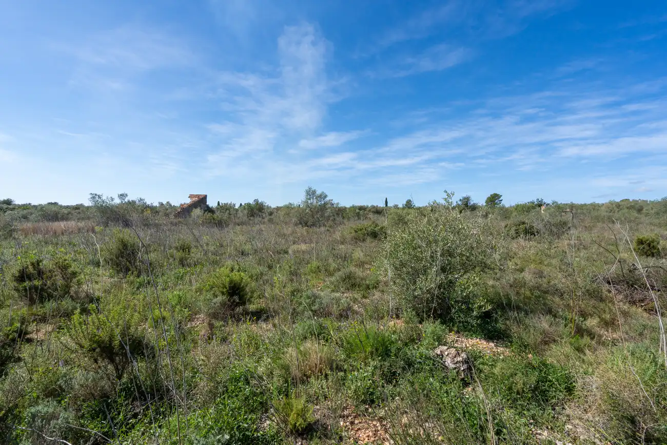 Rustikales Grundstück zum Verkauf in Ulldecona, imagen 12
