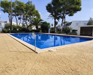 Swimming pool of Apartment to rent in Alcúdia  with Air Conditioner and Terrace