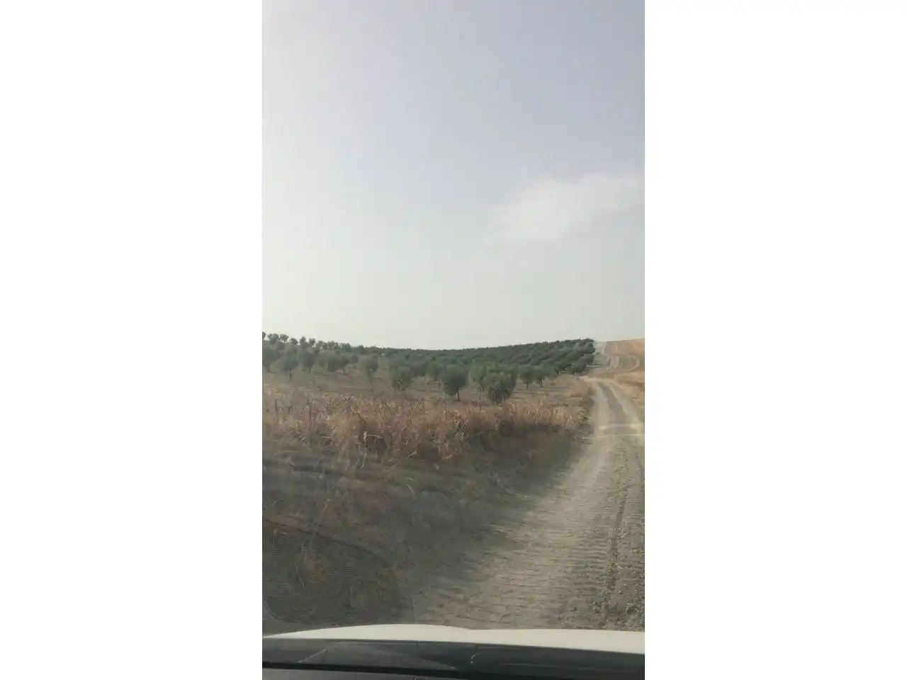 Rural land for sale in Castro del Río, imagen 2