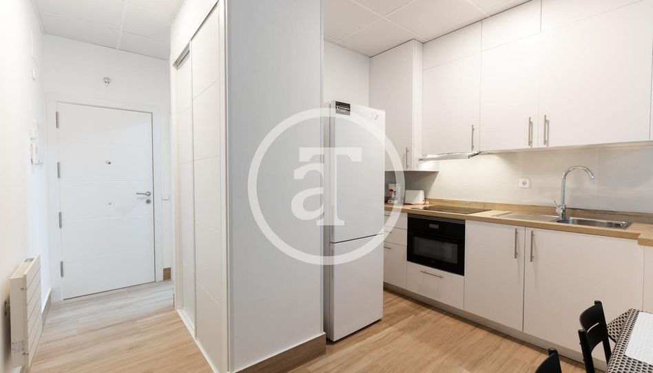 Estudio de alquiler en Calle de San Manuel, 3, Aluche - Imagen 2