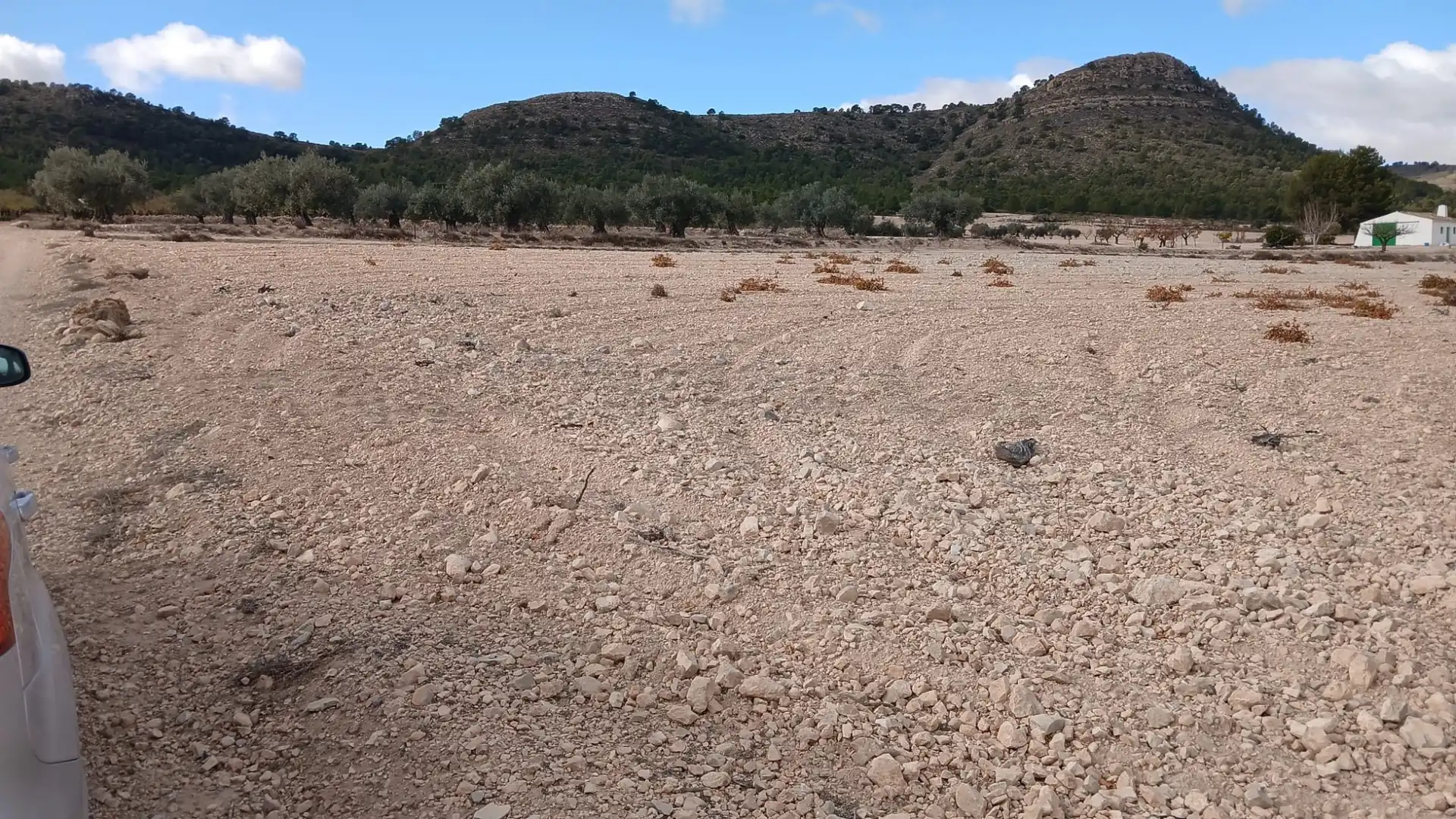 Residential land for sale in Yecla, imagen 12