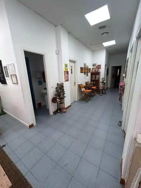 Local comercial en venta en Calle de Dámaso Alonso, imagen 6