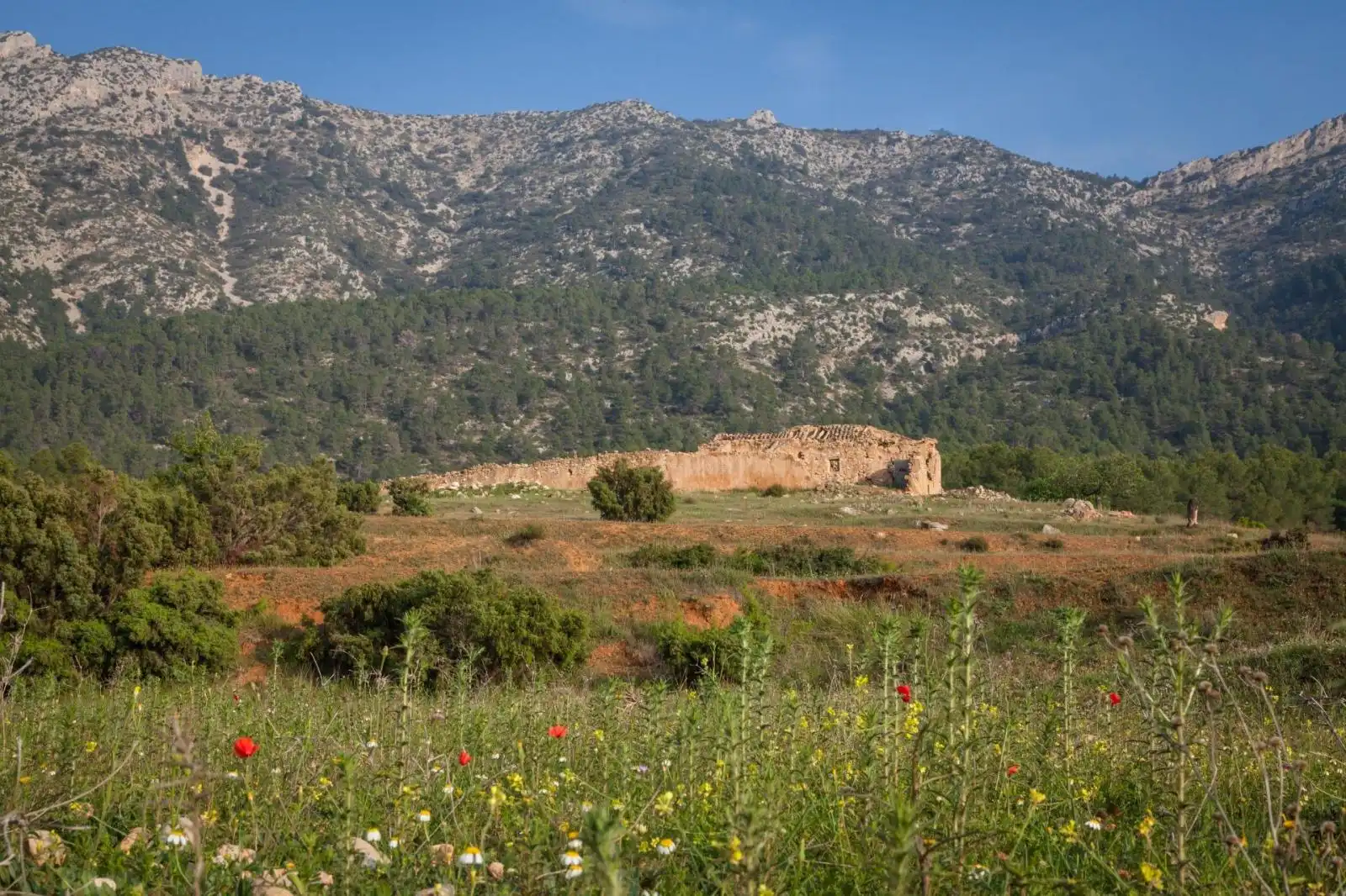 Lands and plots for sale in Mula, imagen 15