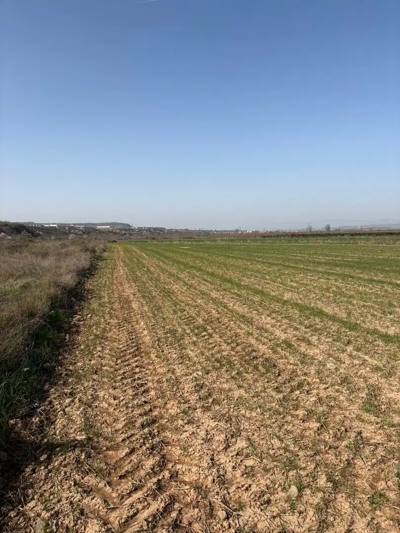 Terreno rustico in vendita a Arrúbal, imagen 5