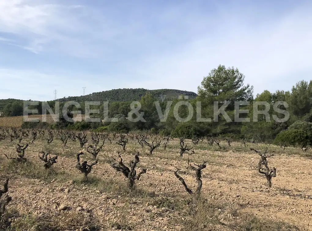 Terreny residencial en venda a Avinyonet del Penedès, imagen 15