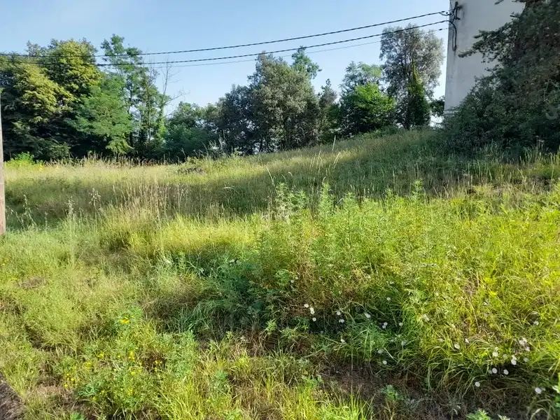 Lands and plots for sale in CA LA GUAPA, imagen 2