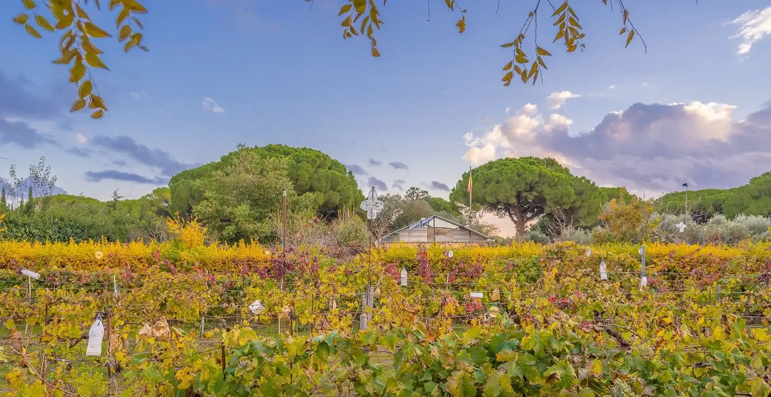 Houses for sale in Villanueva Golf
