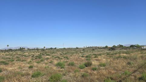 Foto 4 de Residencial en venda a Partida de Perleta , Perleta - Maitino, Elche / Elx