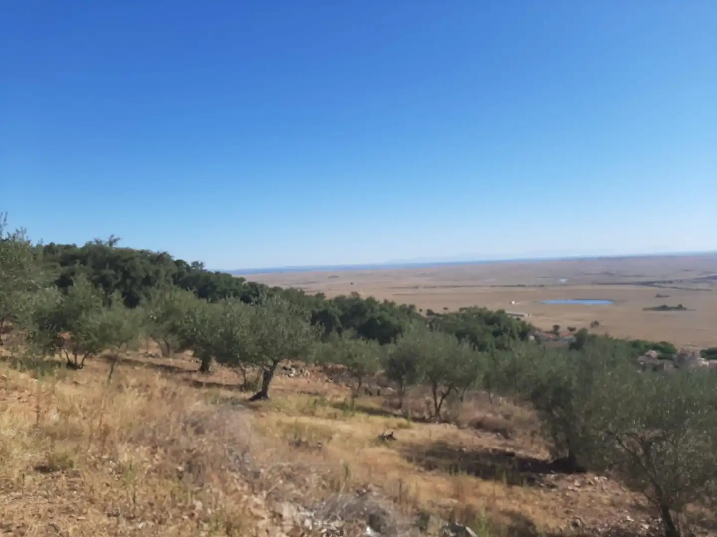 Terreni e lotti in vendita a Sierra de Fuentes, imagen 16