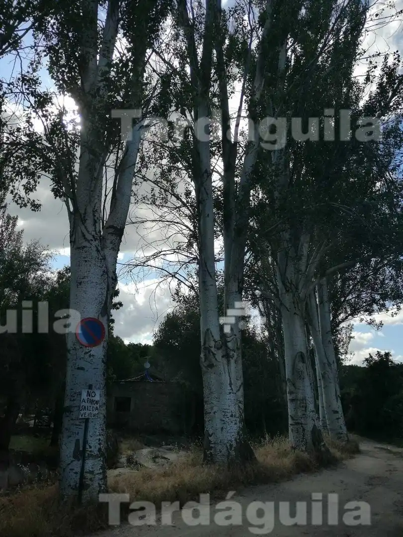 Vista exterior de Edificio en venta en San Martín del Castañar