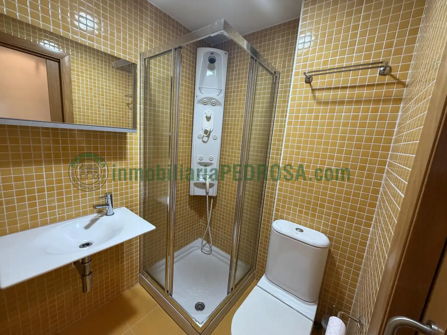Baño de Apartamento de alquiler en A Parda