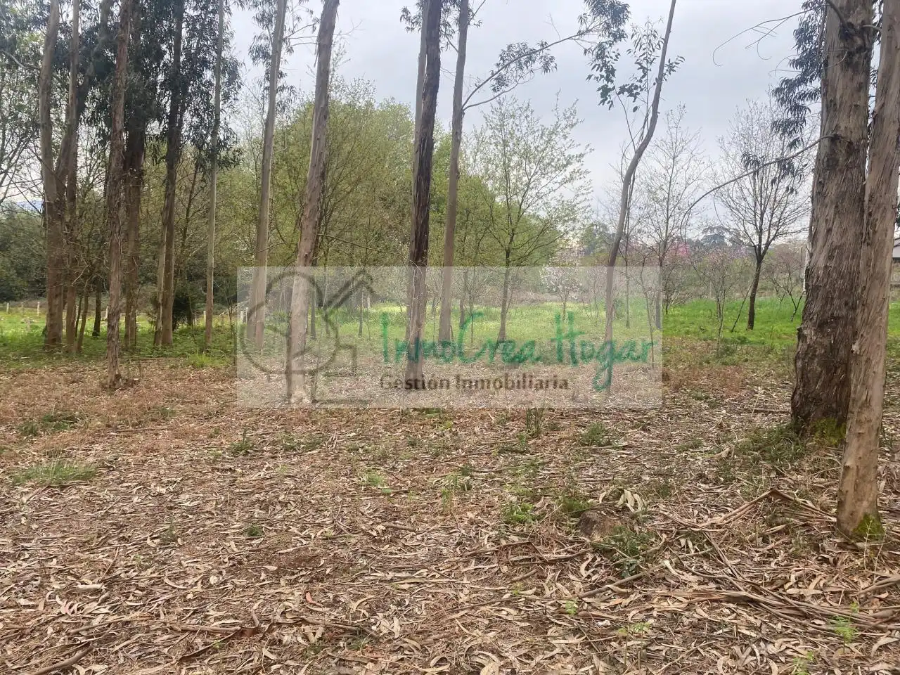 Lands and plots for sale in Salceda de Caselas, imagen 6
