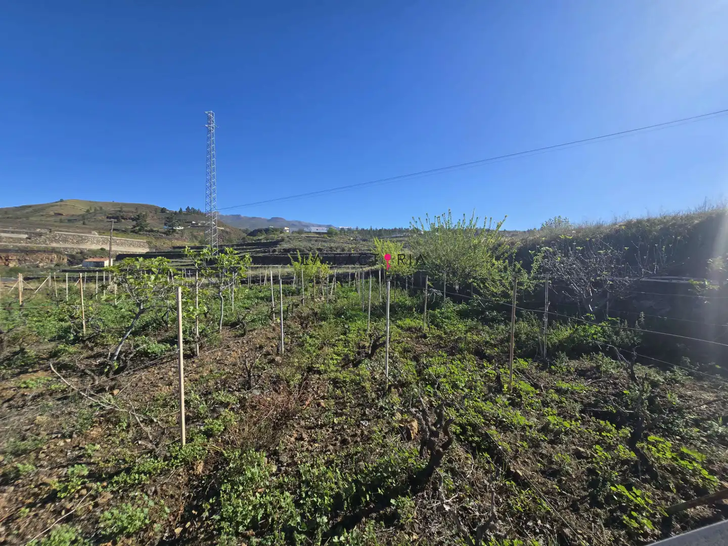 Terreno rústico en venta en Vilaflor de Chasna, imagen 10