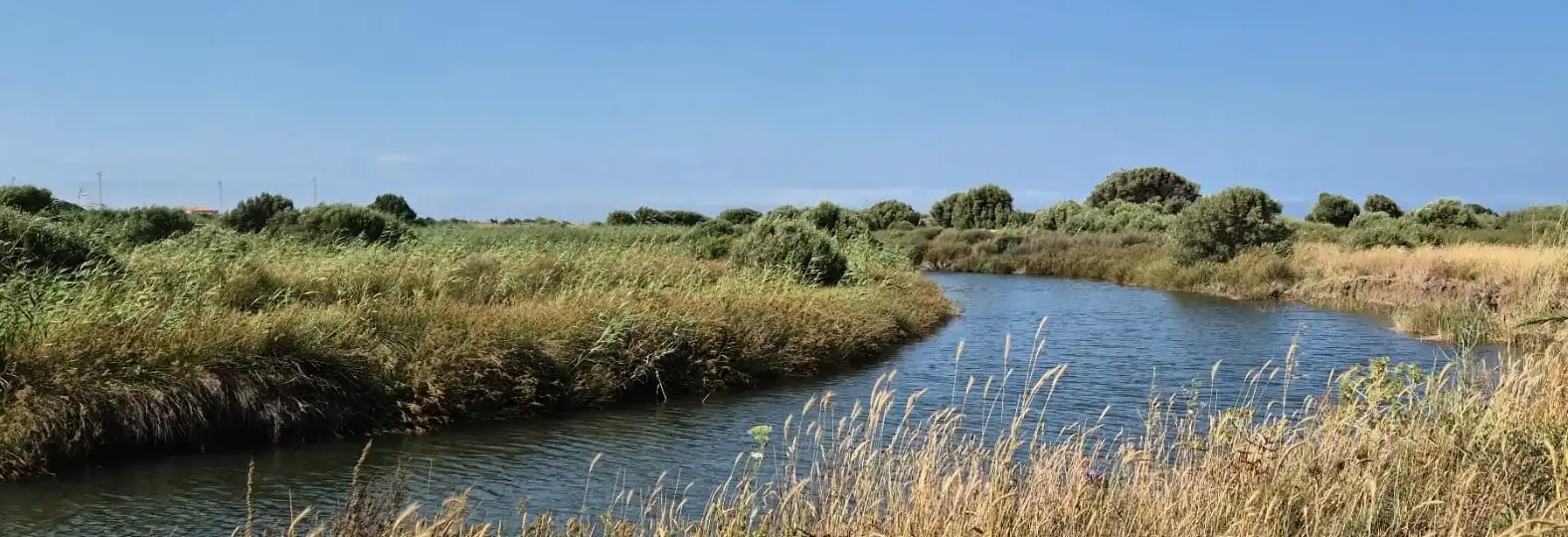 Finca rústica en venta en Tarifa con Jardín privado y Piscina