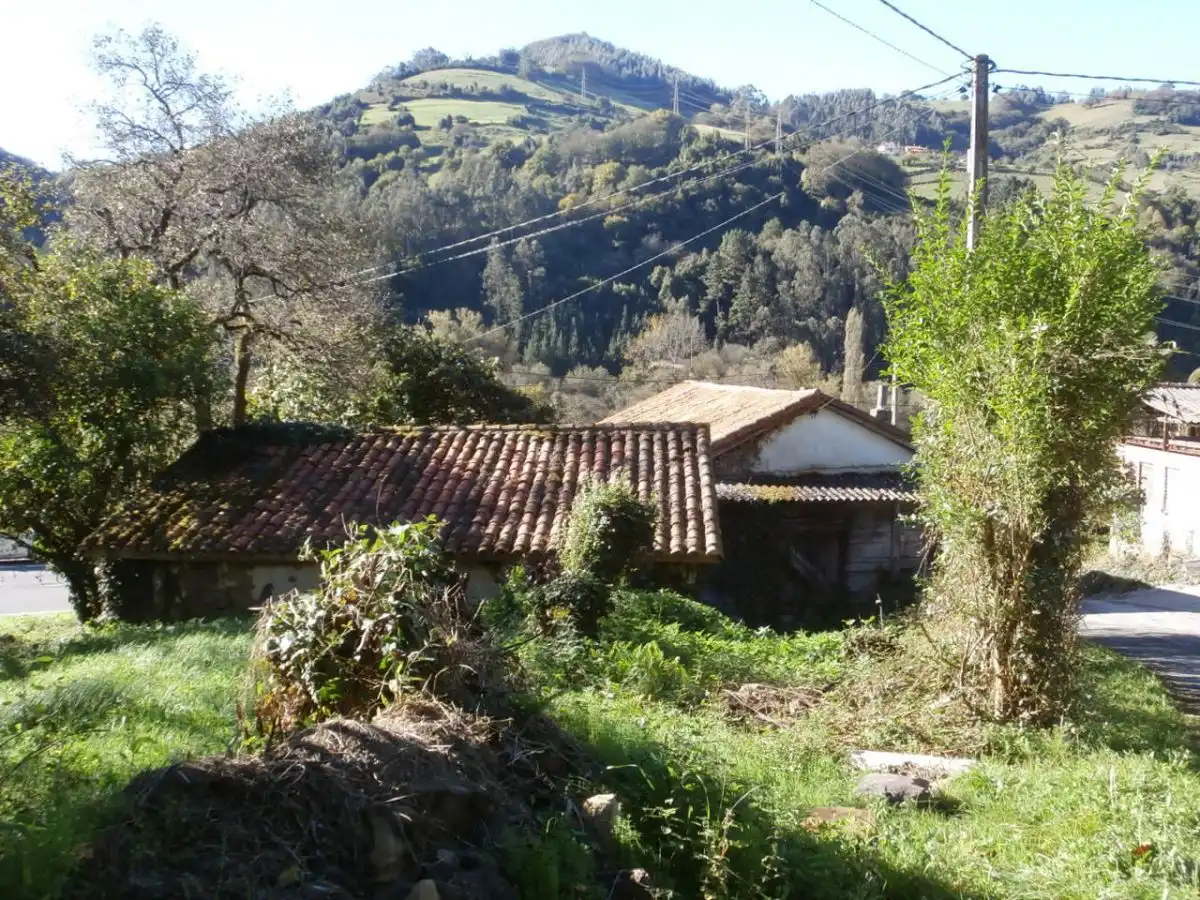 Vista exterior de Casa o xalet en venda en Salas amb Jardí privat i Terrassa
