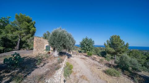 Foto 4 de Finca rústica en venda a Cas Català - Illetes, Illes Balears