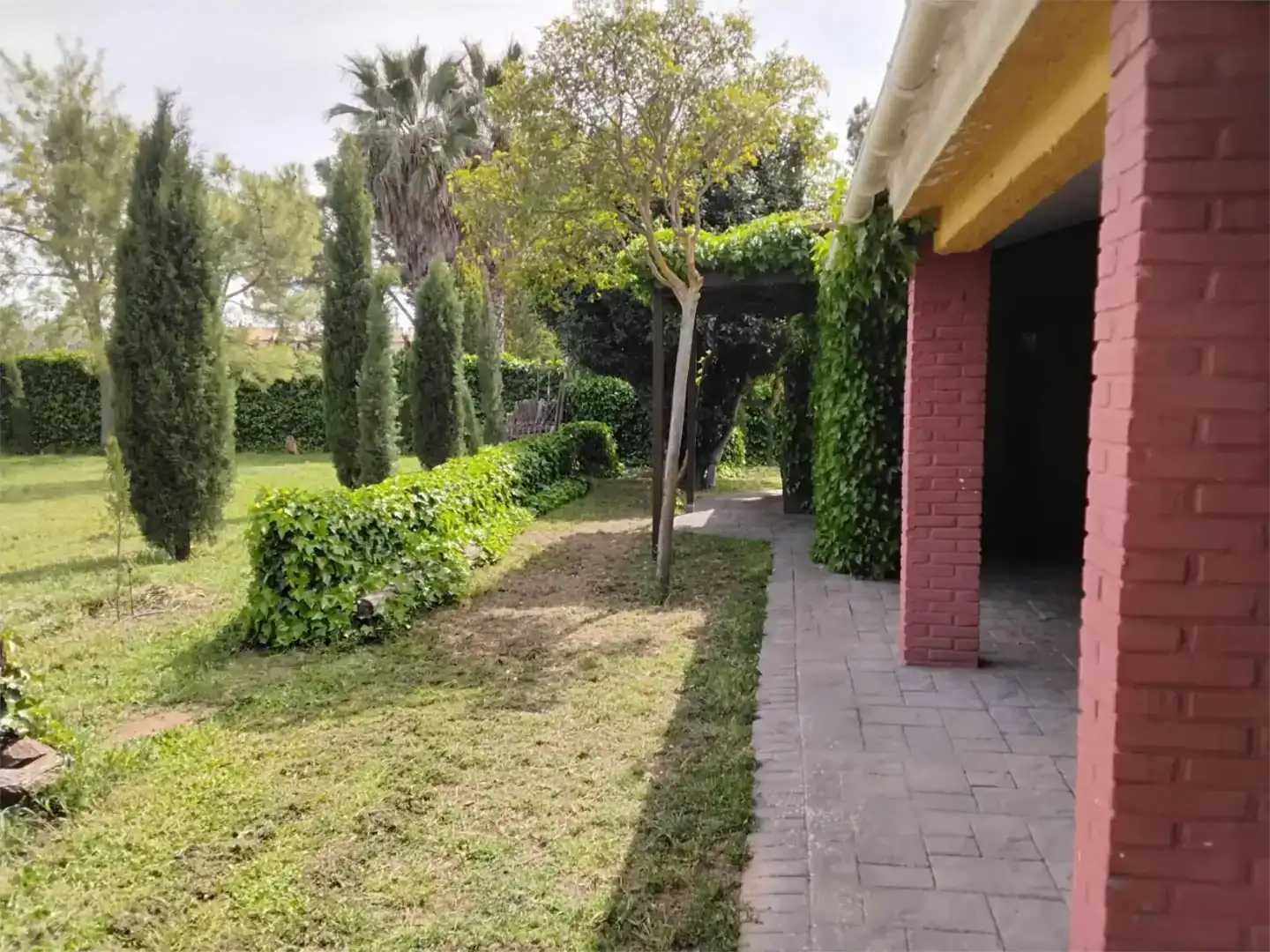 Jardí de Casa o xalet en venda en Miguelturra amb Piscina i Balcó